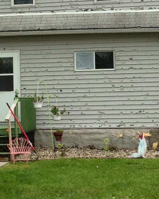 Storm Damage 4