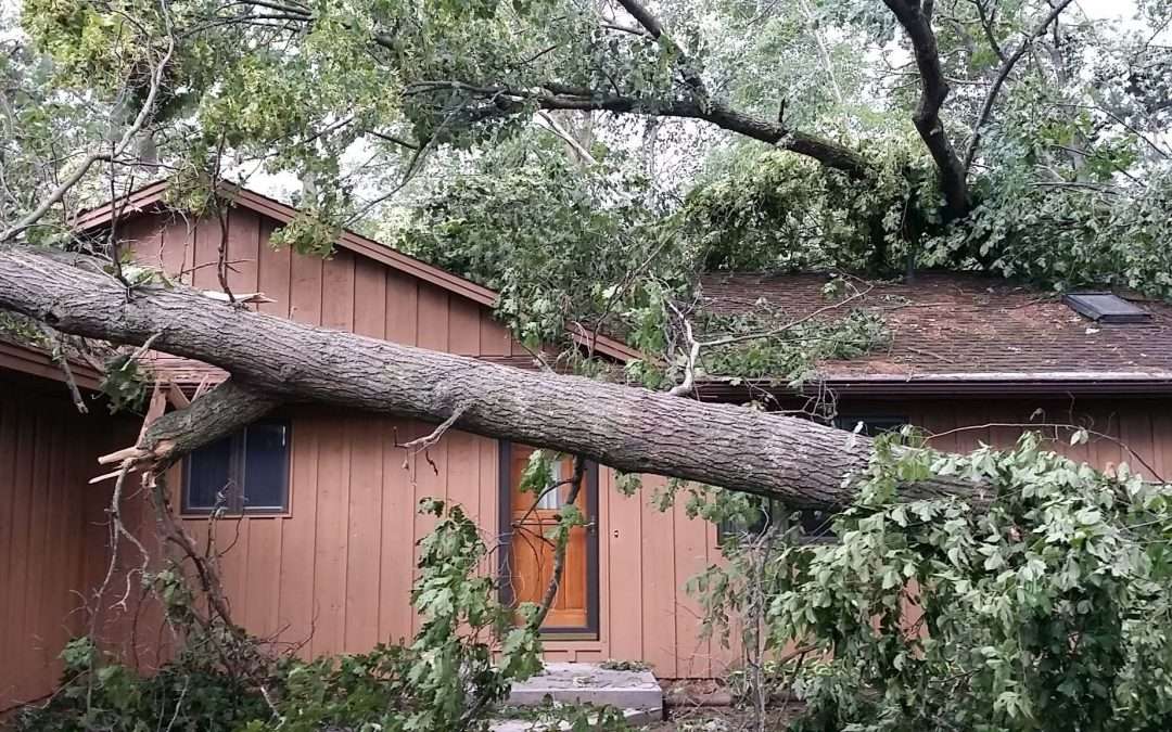 Storm Damage 2