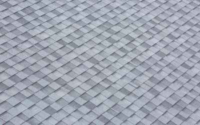 Why Granules on Your Shingle Roof Are Important