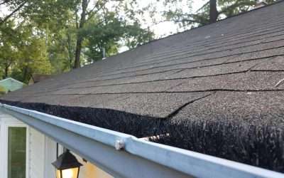 Gutter Repair: Essential Tips and Tricks