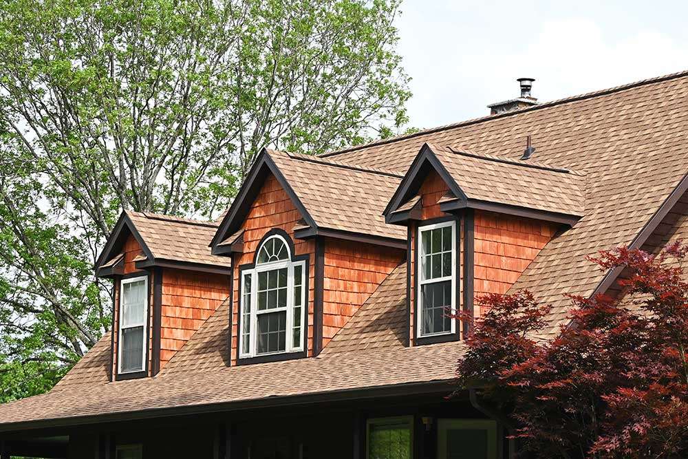 new-shingles