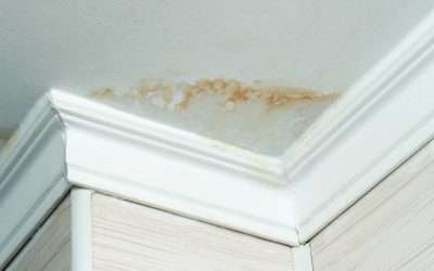 Understanding Water Spots on Your Ceiling: Causes and Solutions