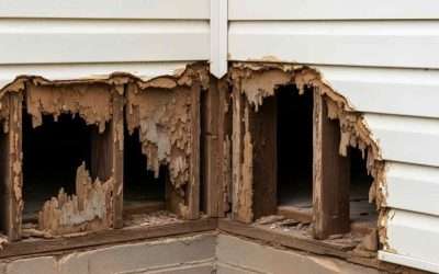 Siding Water Damage: How to Tell if Your Sheathing is Rotted