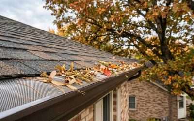 Comparing Gutter Guards in St. Cloud: Which System Works Best?